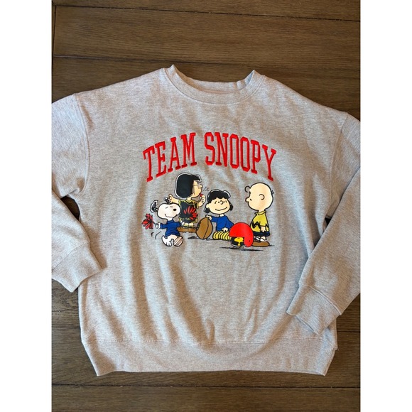 Peanuts Tops - Peanuts Team Snoopy Sweatshirt Women Small Gray Graphic Pullover Charlie Brown